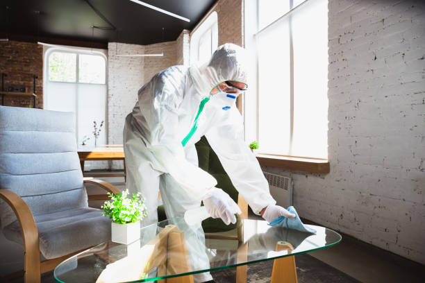 Waupaca, WI Mold Removal & Remediation Company